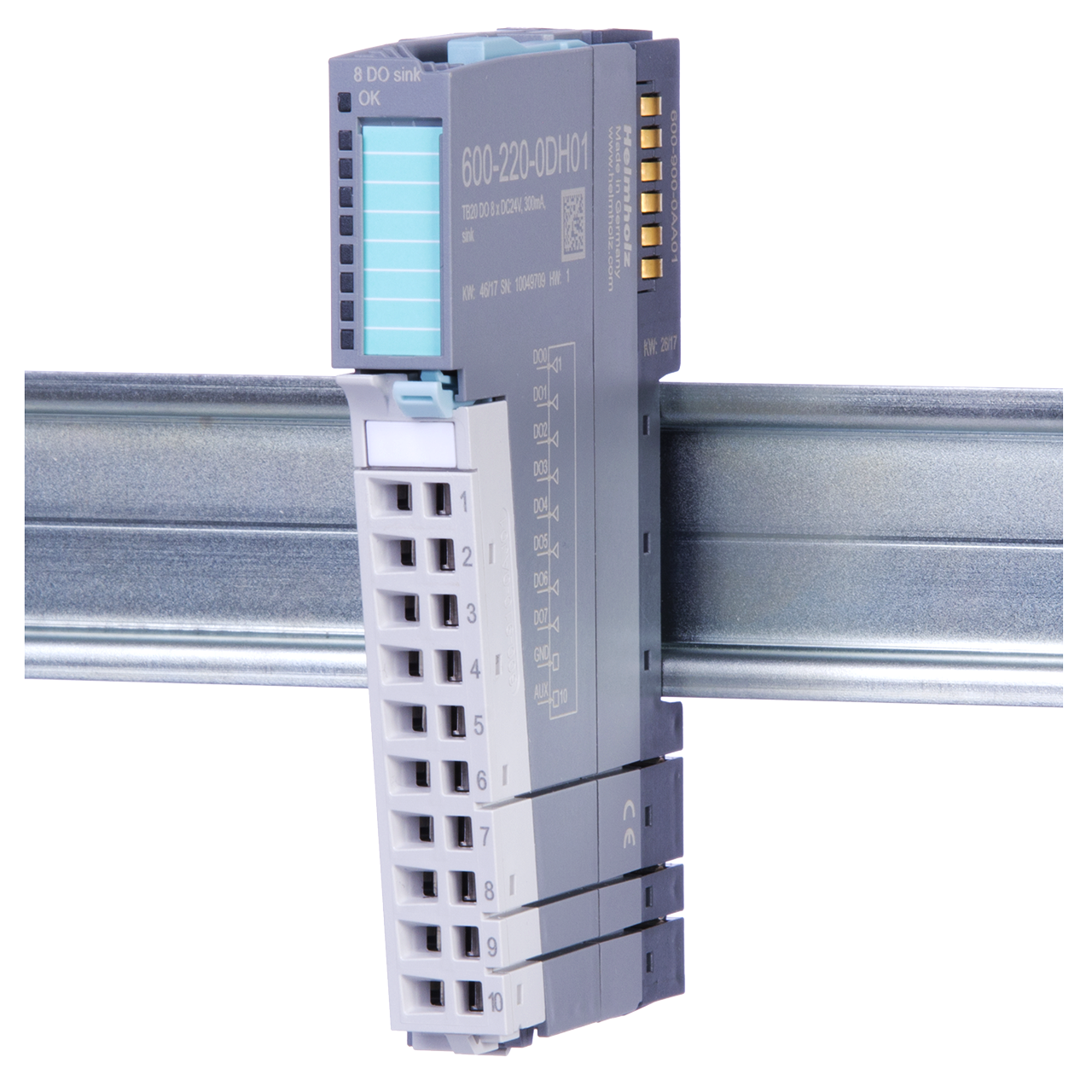 TB20 digital output module sink